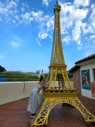 Europe Trip Skirt Set